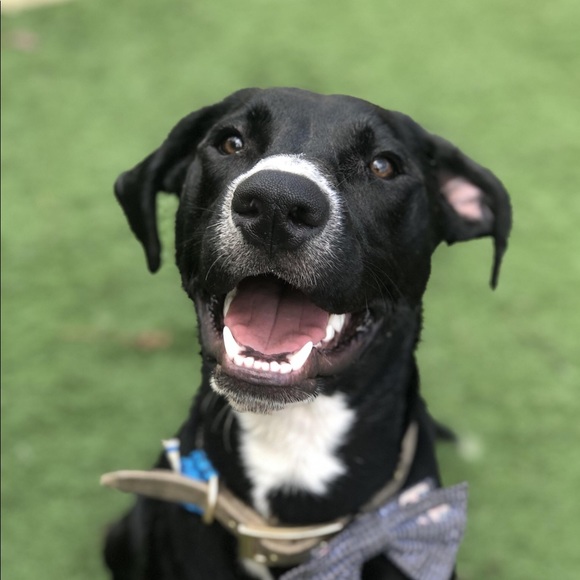 Meet your Posher, Angi - Picture 1 of 1